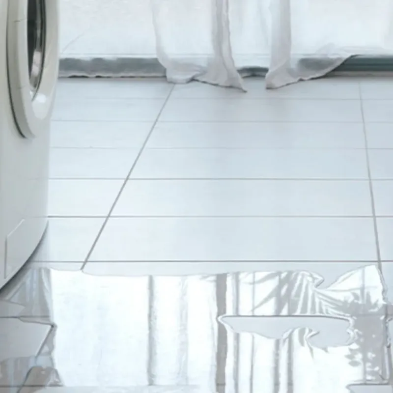 Appliance Leak Cleanup in Lake San Marcos, CA